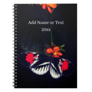 Butterfly Photo Book