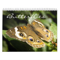 Butterfly Photo Calendar