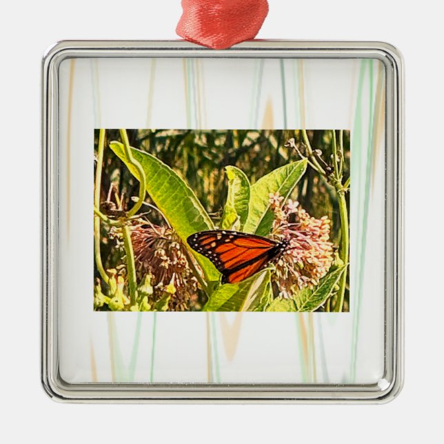 Butterfly Photo Ornament  (Front)