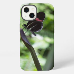 Butterfly Photography iPhone 13 Case