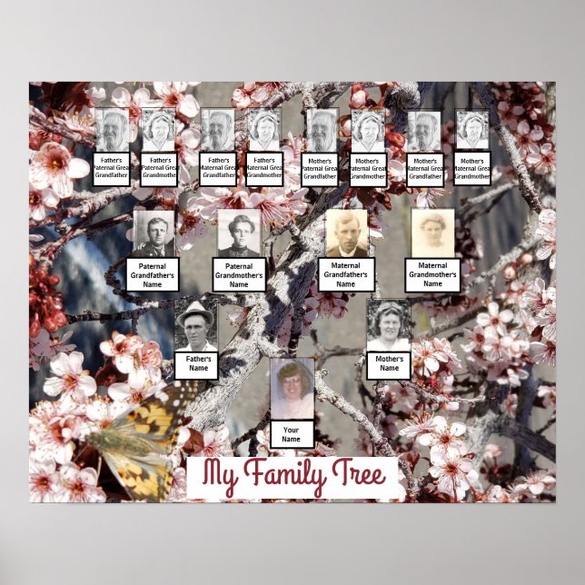 Butterfly Pink Blossoms Photo Family Tree Poster (Front)
