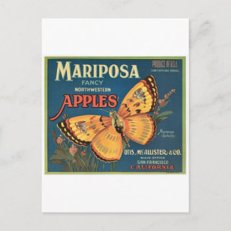 Butterfly Postcard