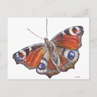Butterfly Postcard