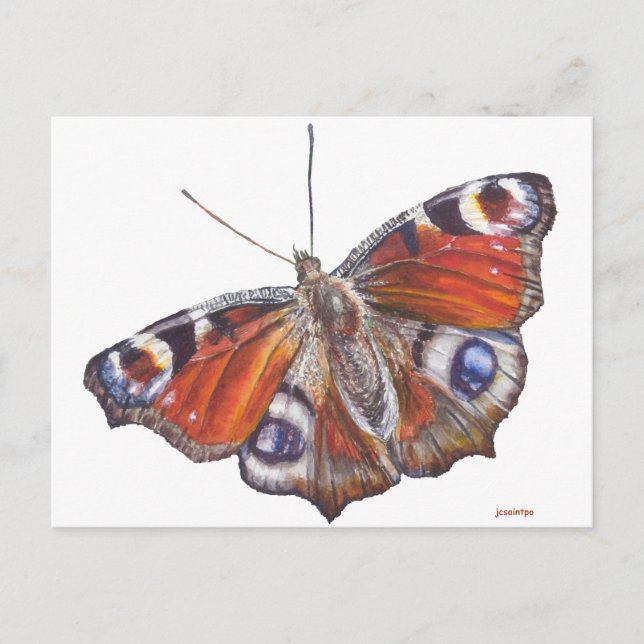 Butterfly Postcard (Front)