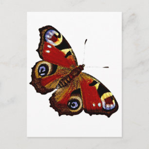 Butterfly Postcard
