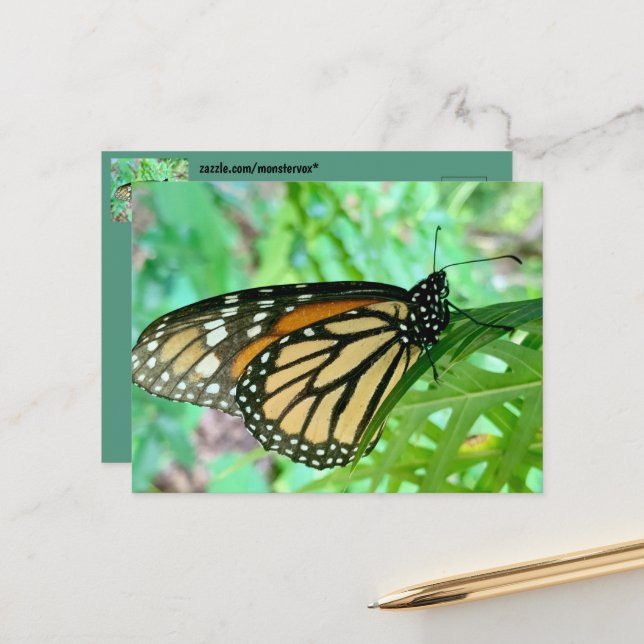 Butterfly Postcard (Front/Back In Situ)