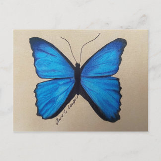Butterfly Postcard