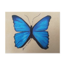 Butterfly Postcard