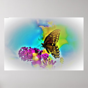 Butterfly, poster