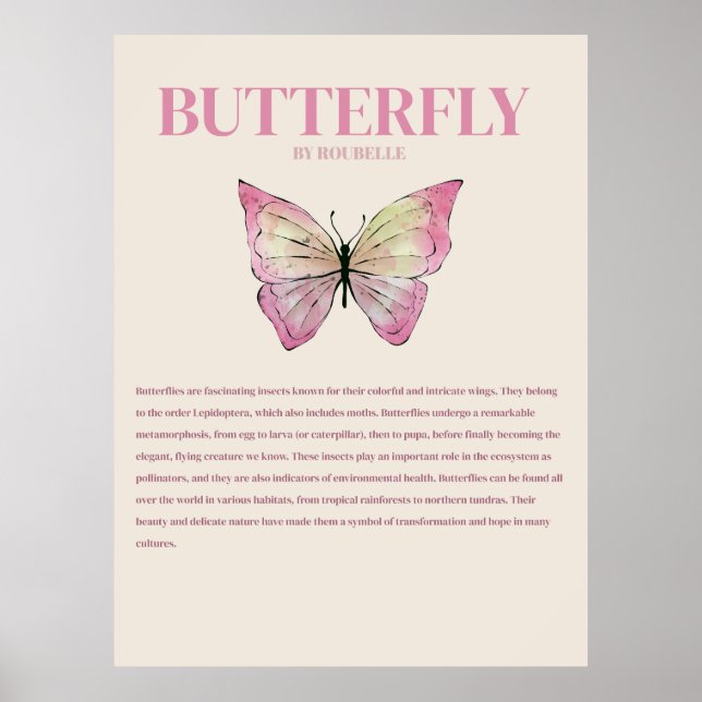 Butterfly Poster (Front)