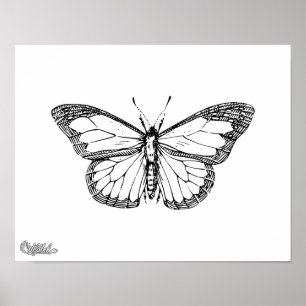 Butterfly Poster