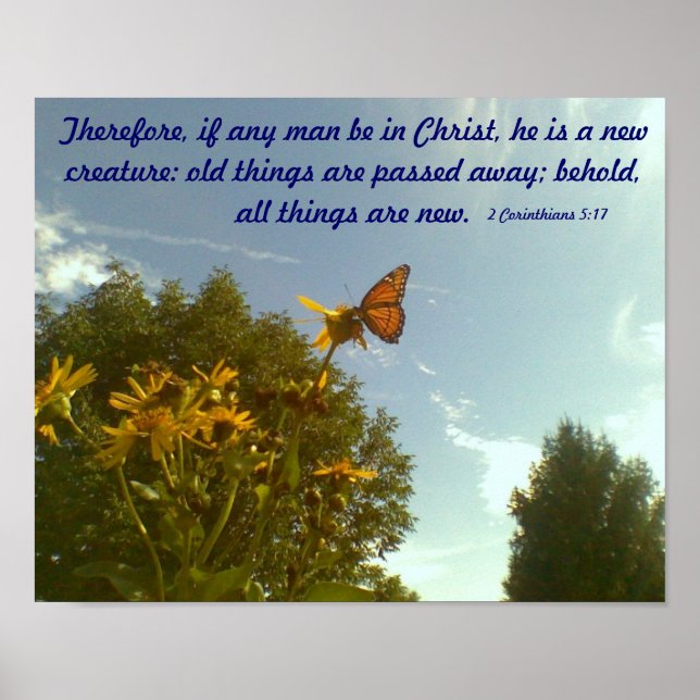 Butterfly Poster (Front)