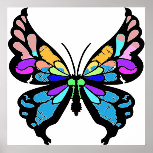 Butterfly Poster