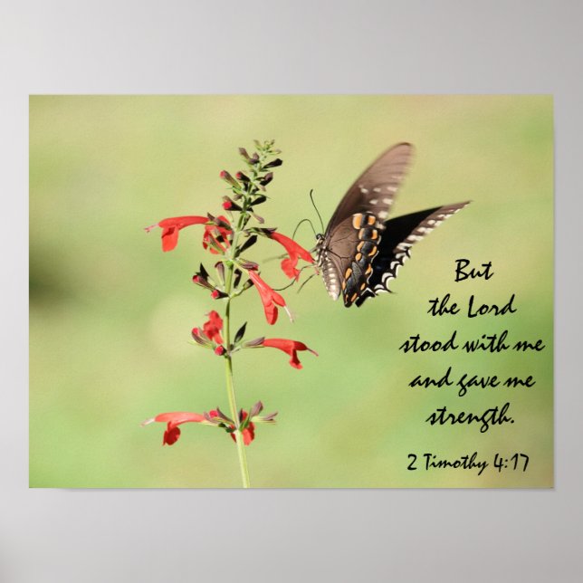  Butterfly Poster w/ Verse about God's Strength (Front)