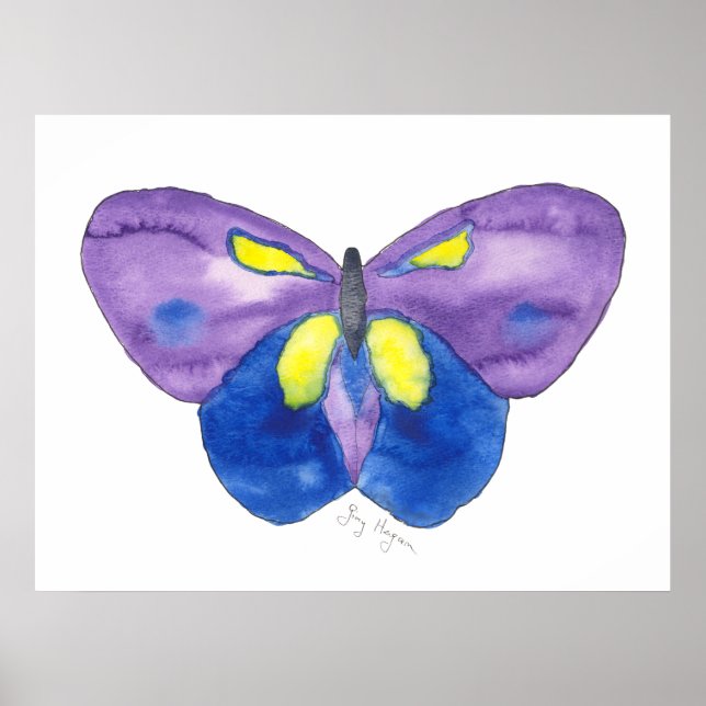 Butterfly Posters & Prints (Front)