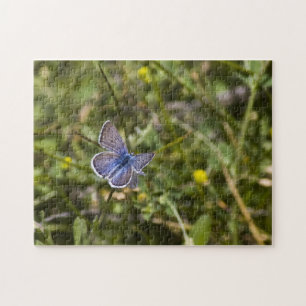Butterfly Puzzle 3