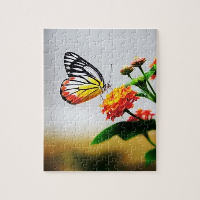 Butterfly - Puzzles (Vertical)
