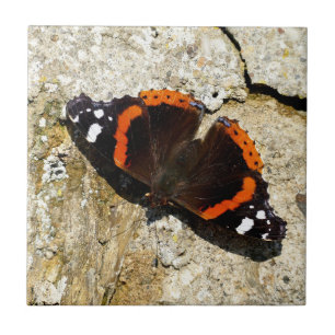 Butterfly - Red Admiral Ceramic Tile