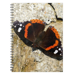 Butterfly - Red Admiral Notebook