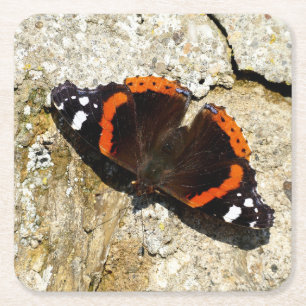 Butterfly - Red Admiral Square Paper Coaster
