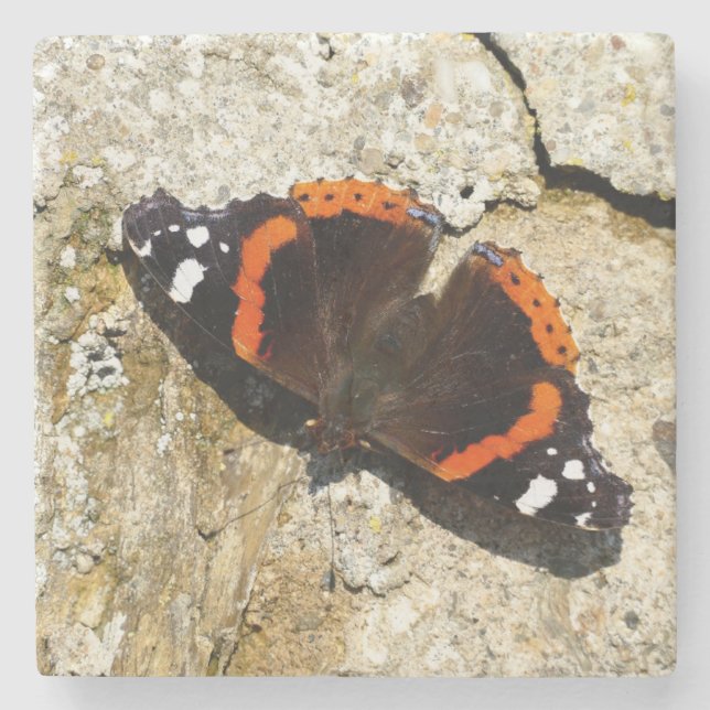 Butterfly - Red Admiral Stone Coaster (Front)