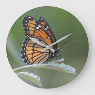 Butterfly Resting On A Leaf Large Clock
