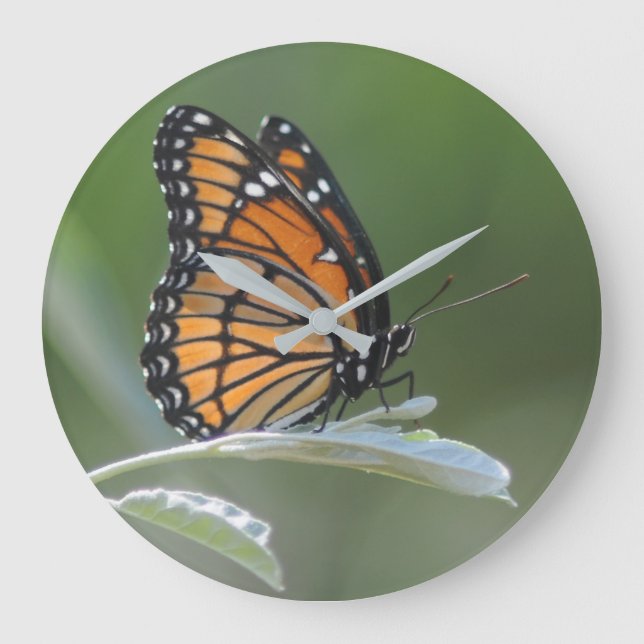 Butterfly Resting On A Leaf Large Clock (Front)
