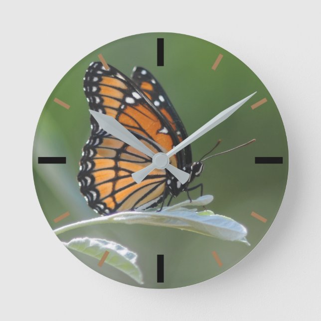 Butterfly Resting On A Leaf Round Clock (Front)