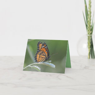 Butterfly Resting On A Leaf Thank You Card