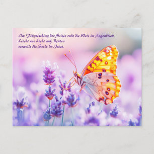 Butterfly Resting on Lavender in Sunlight Holiday Postcard