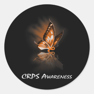 Butterfly Ribbon Crps Awareness Classic Round Sticker