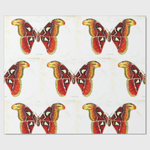 "Butterfly - Saturnae" Wrapping Paper
