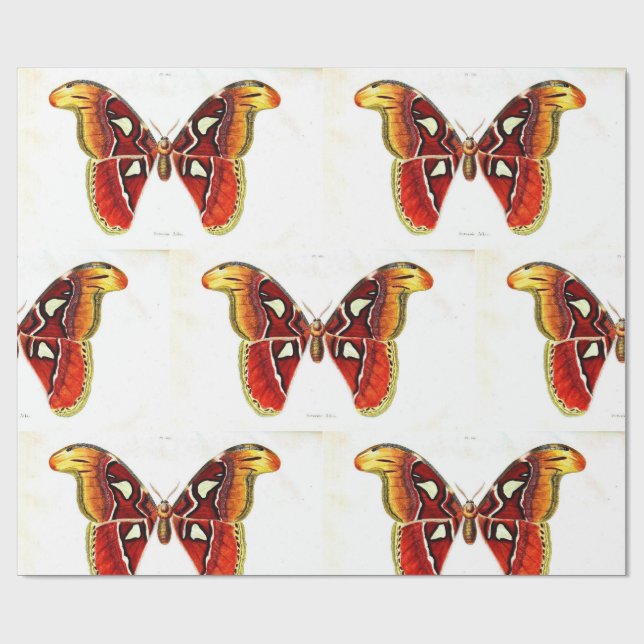 "Butterfly - Saturnae" Wrapping Paper (Flat)