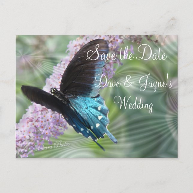 Butterfly Save the Date-customise Announcement Postcard (Front)