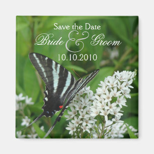 Butterfly Save-The-Date Magnet