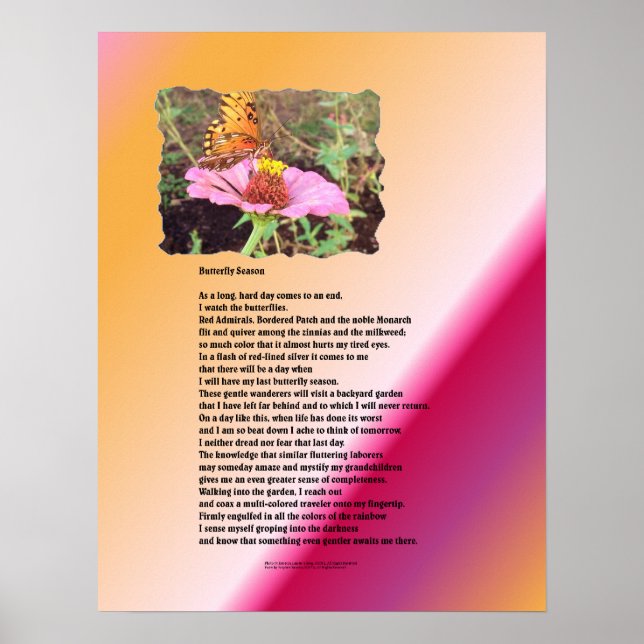 Butterfly Season - Desert Poster (Front)