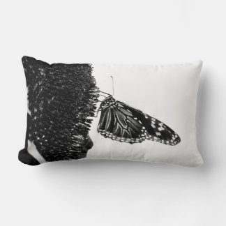butterfly shy blacq lumbar cushion