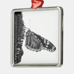 butterfly shy blacq metal ornament