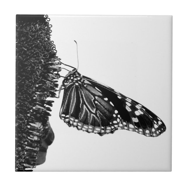 butterfly shy blacq tile (Front)