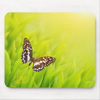 Butterfly sitting on a fresh green grass mouse pad
