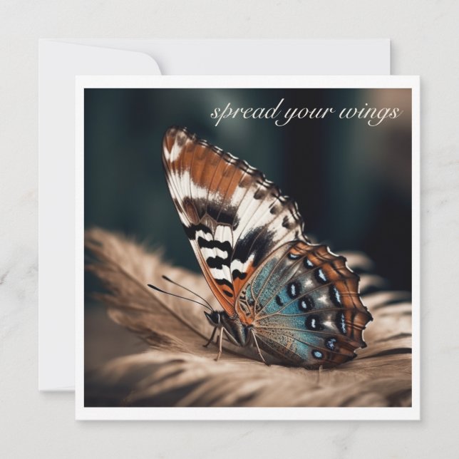 Butterfly sitting on a soft feather (Front)