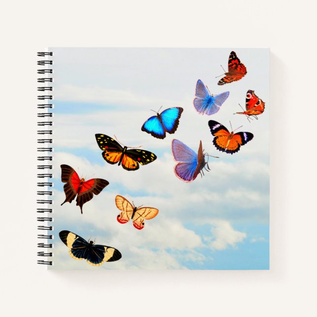 Butterfly Sky Notebook (Front)