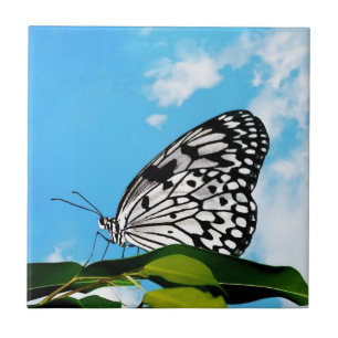 Butterfly & Sky Tile