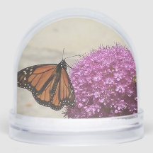 Butterfly Snow Globe