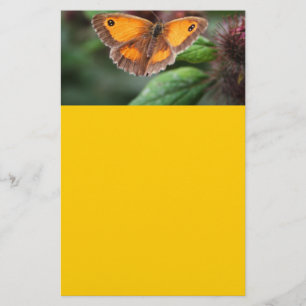 Butterfly Stationery