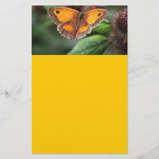 Butterfly Stationery (Front)