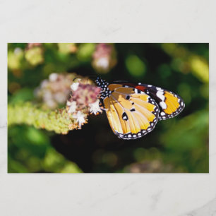 Butterfly Stationery
