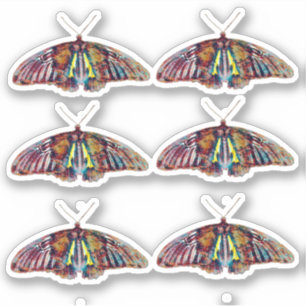 Butterfly Stickers Sheet of Six