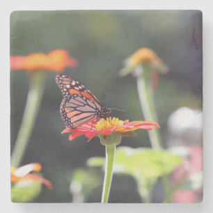 Butterfly Stone Coasters