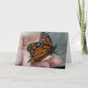 Butterfly Thank You Card